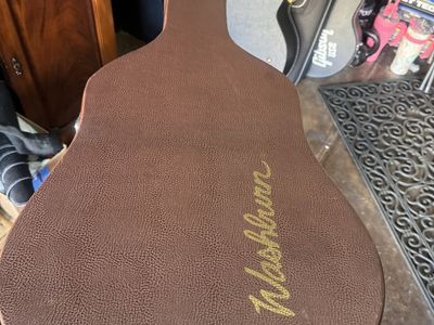 Washburn Dreadnaught Brown Leather Guitar Case