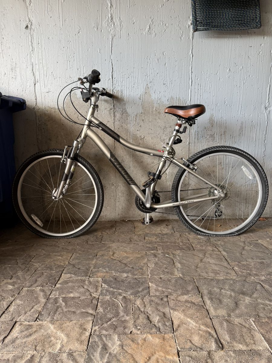 2010 Specialized Expedition cruiser/commuter bike, women’s, size medium