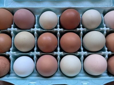 Fresh Eggs - Assorted Color Dozen