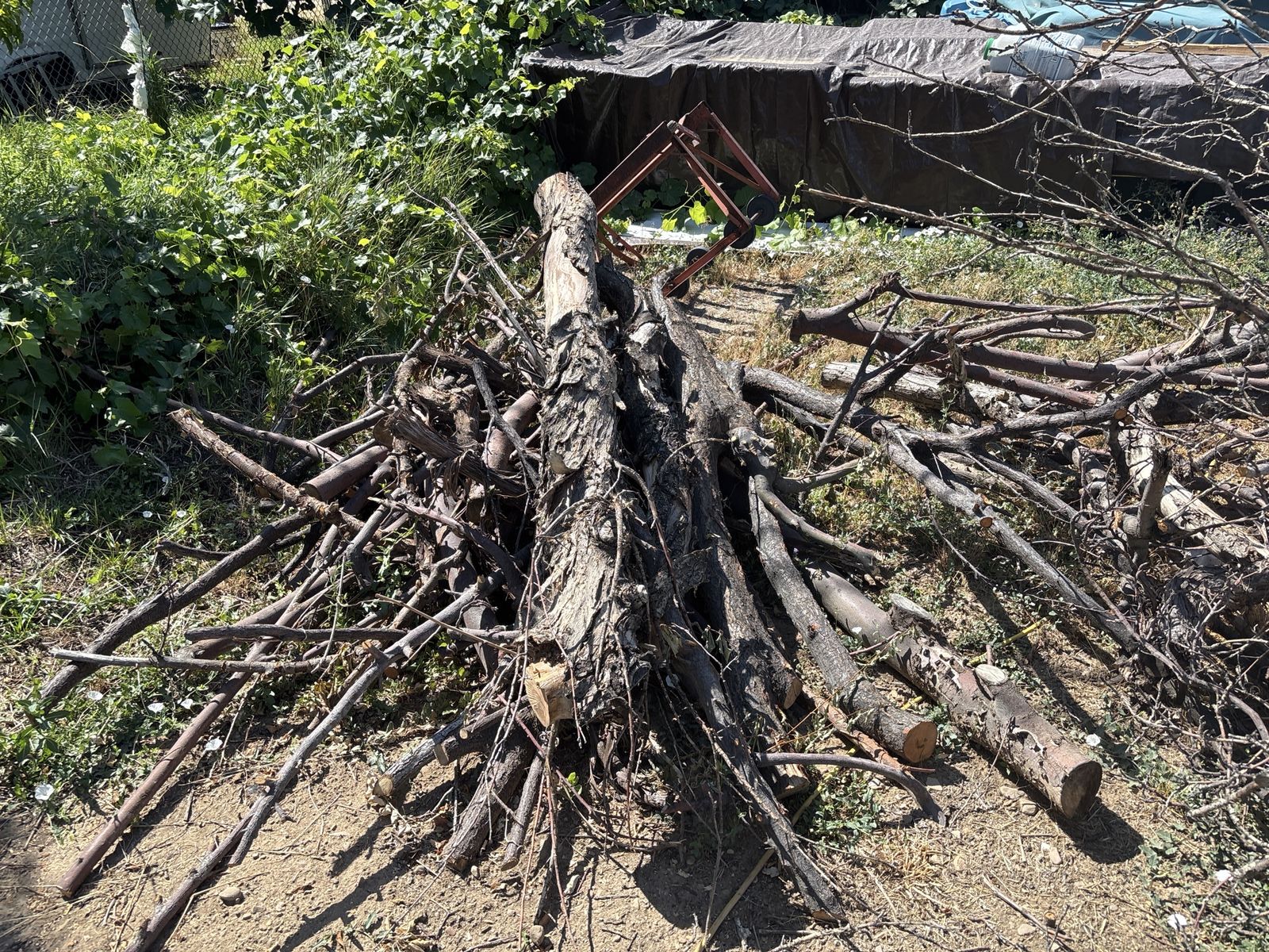 Apple wood. Cherry wood.