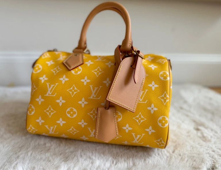 Louis Vuitton Speedy 25 P9