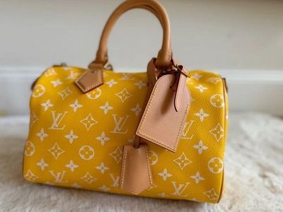 Louis Vuitton Speedy 25 P9