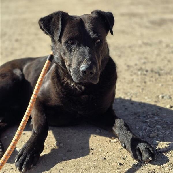 Hello my name is Chuck