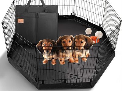 Puppy Playpen 8 Panels 24"H Dog Playpen