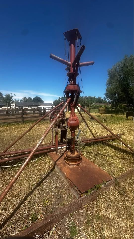 Horse Equine Hot Walker