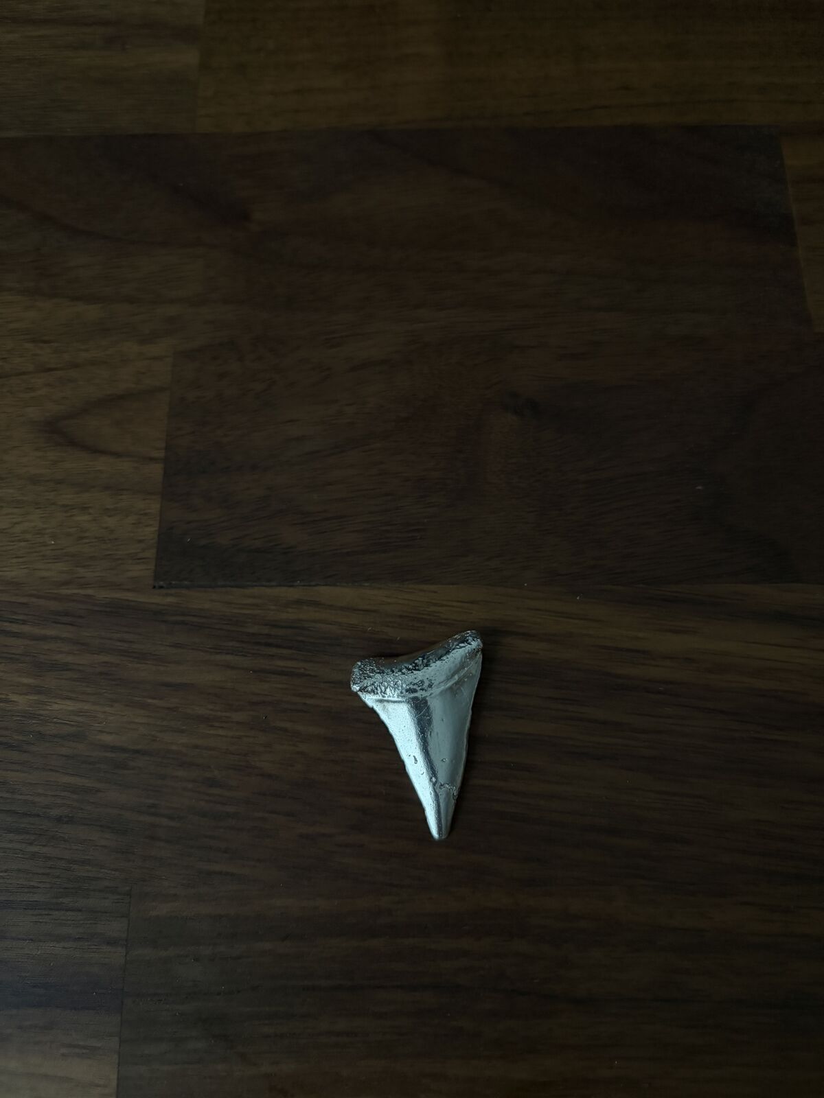 12g Silver Shark Tooth Custom Pour