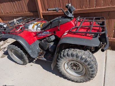 2000 Arctic Cat 500 Automatic
