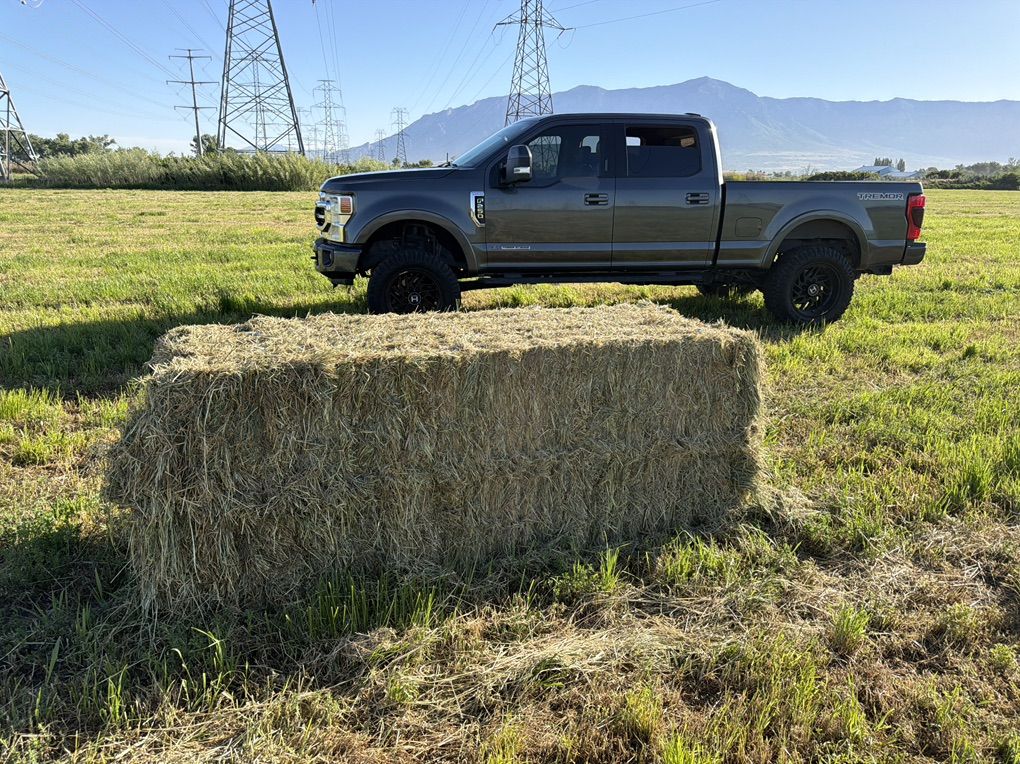 Grass Hay Mix