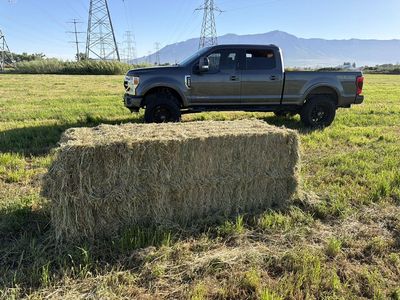 Grass Hay Mix