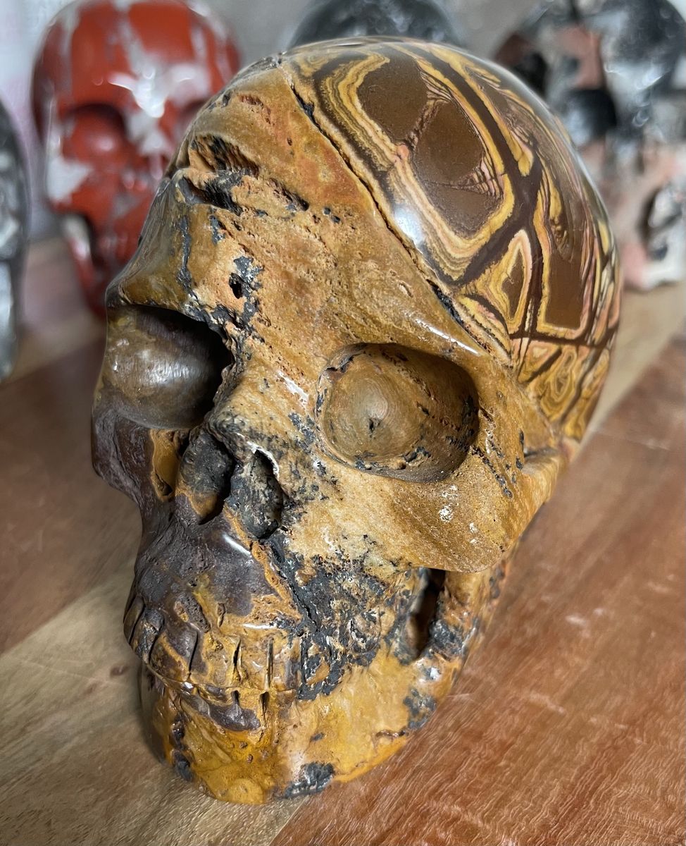 NEW Crystal 5" Skeleton SKULL Natural Picture Brown Jasper ? Stone Home Decor Decoration Figurine Statue Collectible