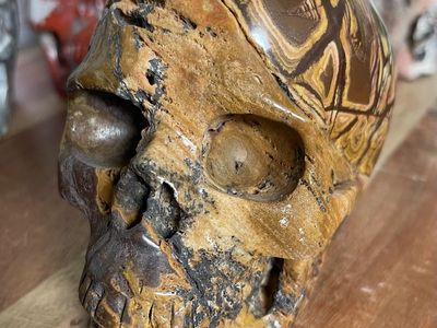 NEW Crystal 5" Skeleton SKULL Natural Picture Brown Jasper ? Stone Home Decor Decoration Figurine Statue Collectible