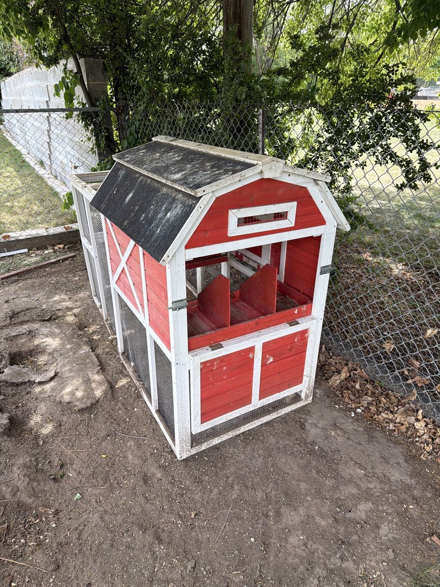 Chicken coop & Chicken Run
