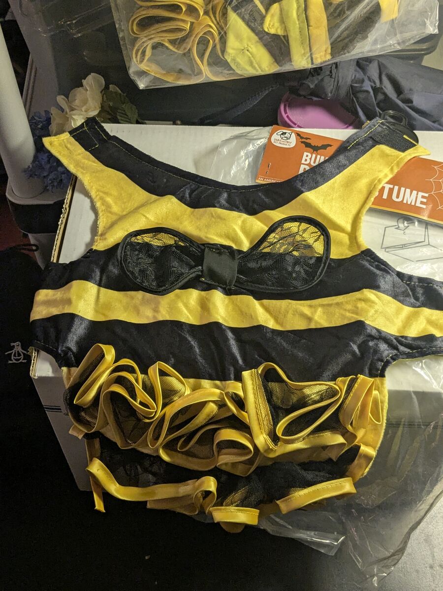 bubble bee pet costume