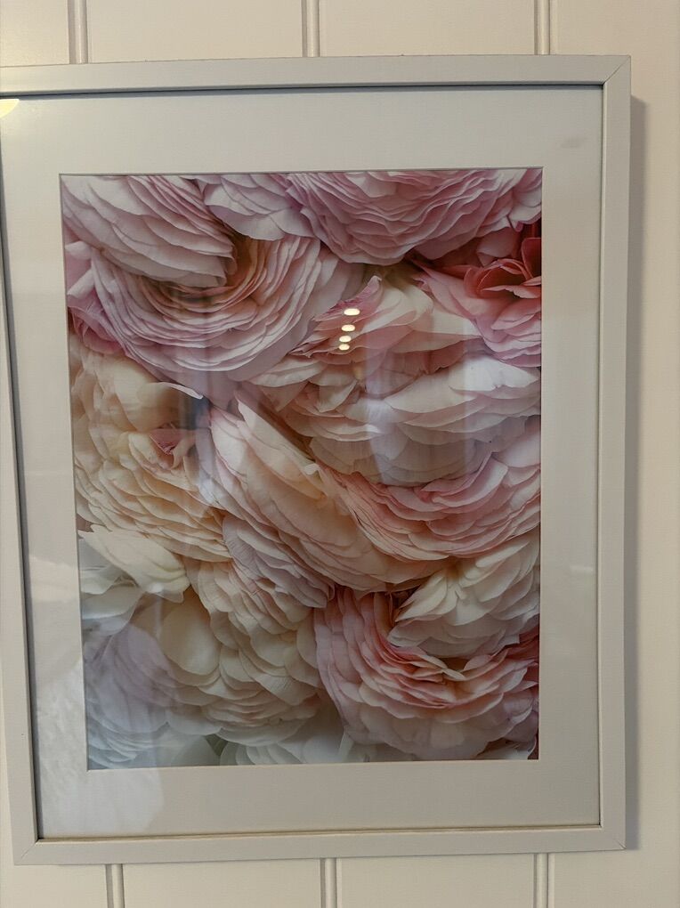 BeautifuL Framed Flower Print Set