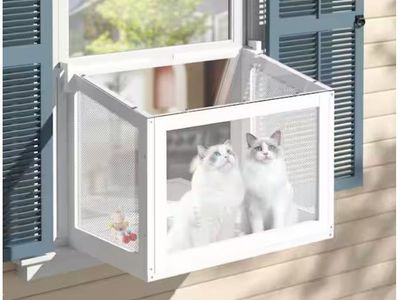 Cat Window Box, Catio Outdoor Cat Little Box Enclosure Window with Adjustable Honeycomb Curtain
