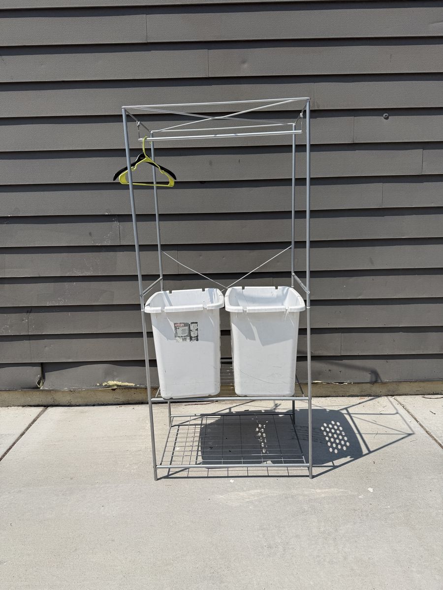 Laundry organizer with bins