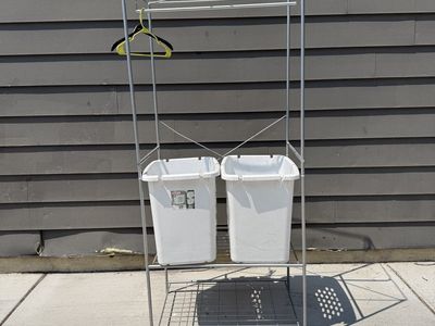 Laundry organizer with bins