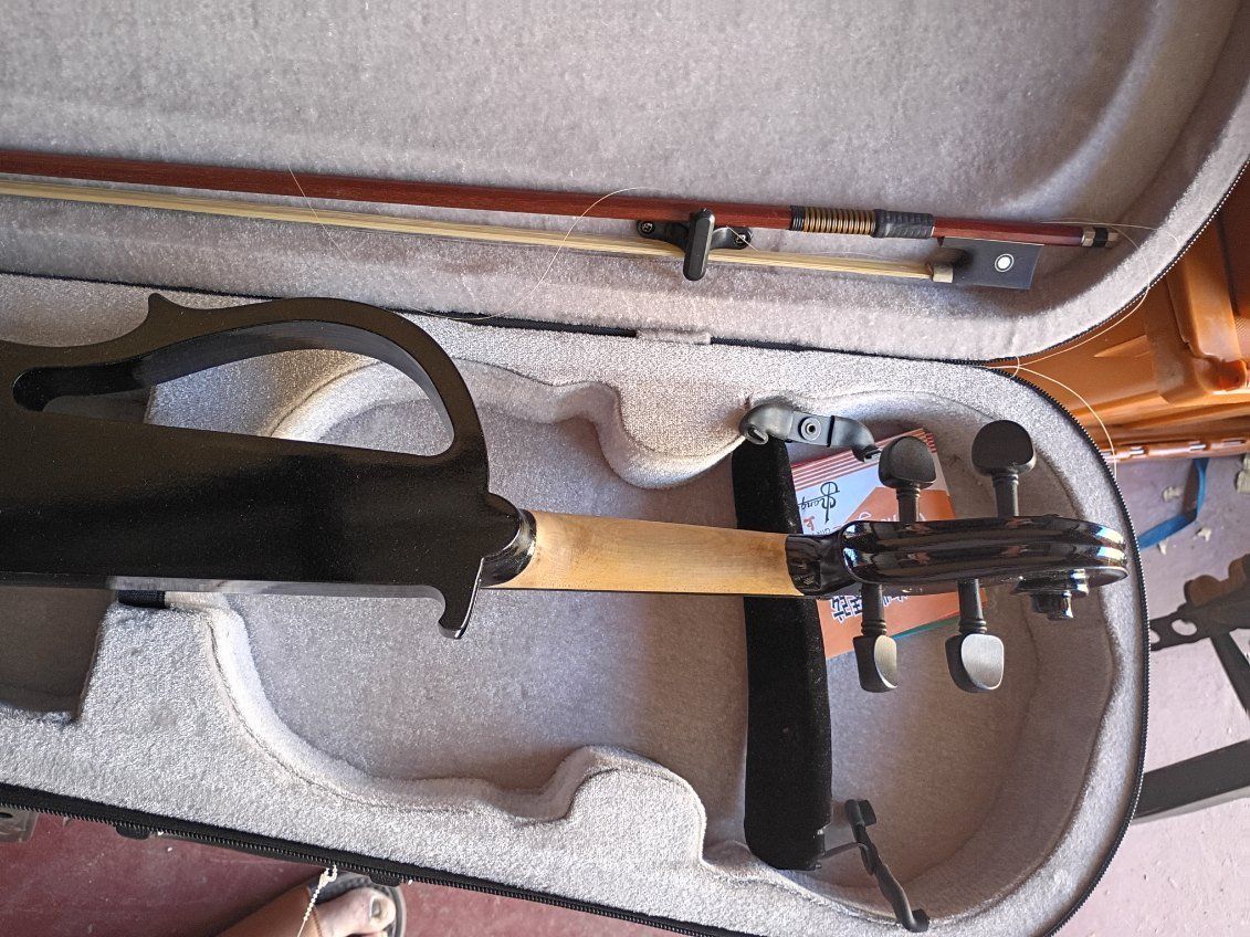 ELECTRIC VIOLIN – NEED GONE TODAY