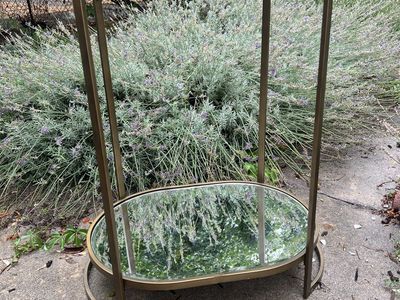 Mirrored shelves