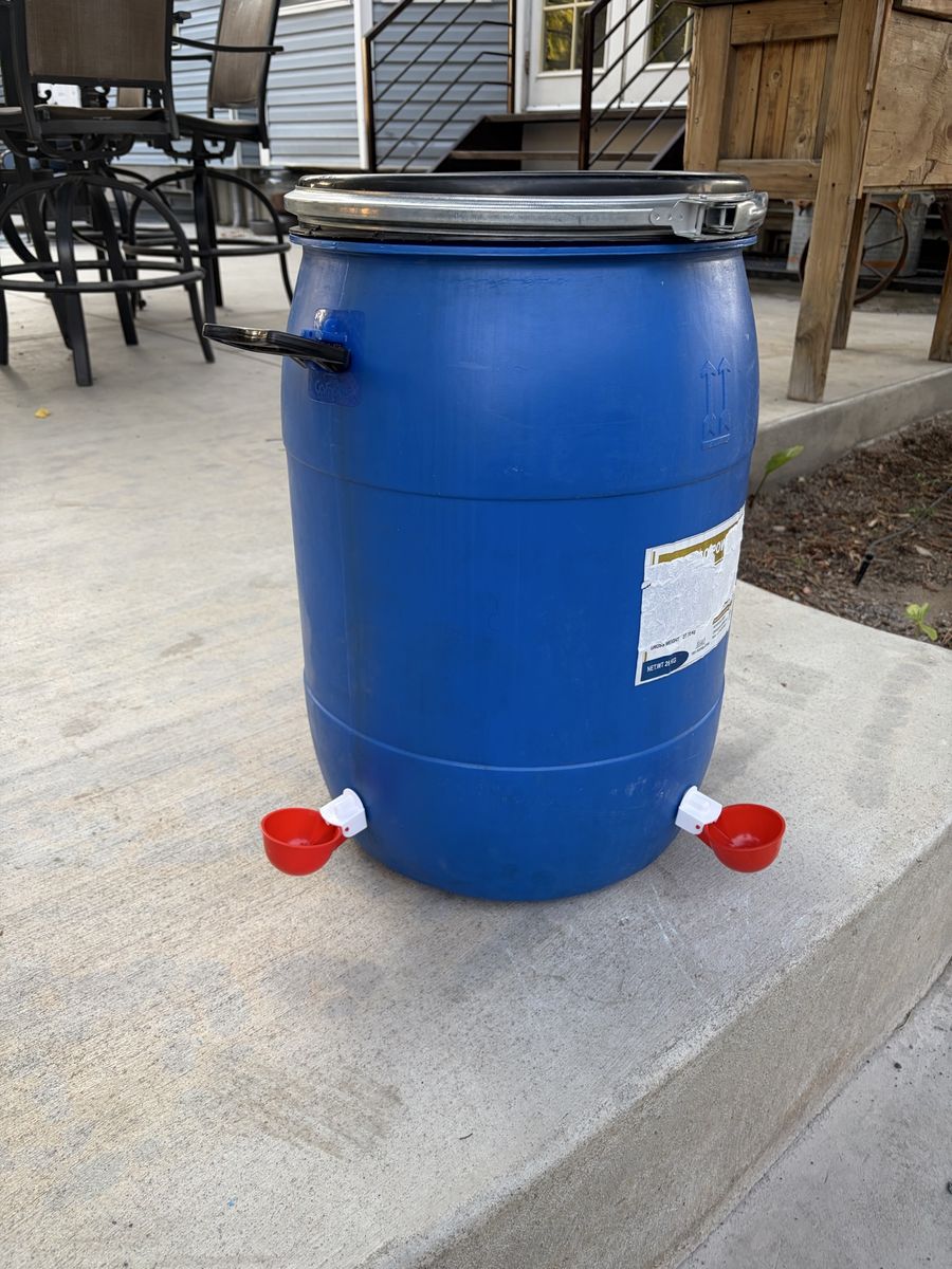 Chicken water barrels