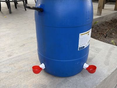 Chicken water barrels