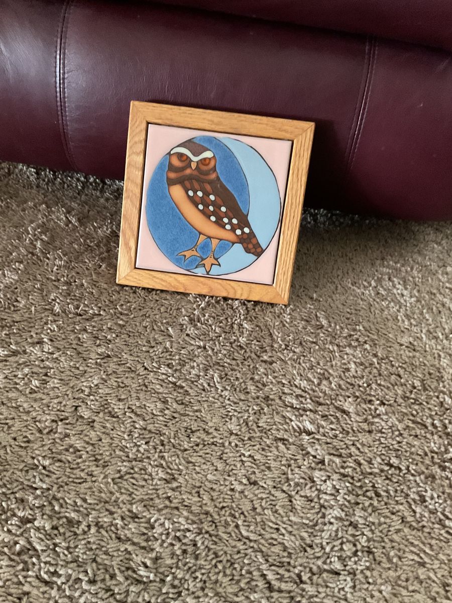 Owl Wall Hanging