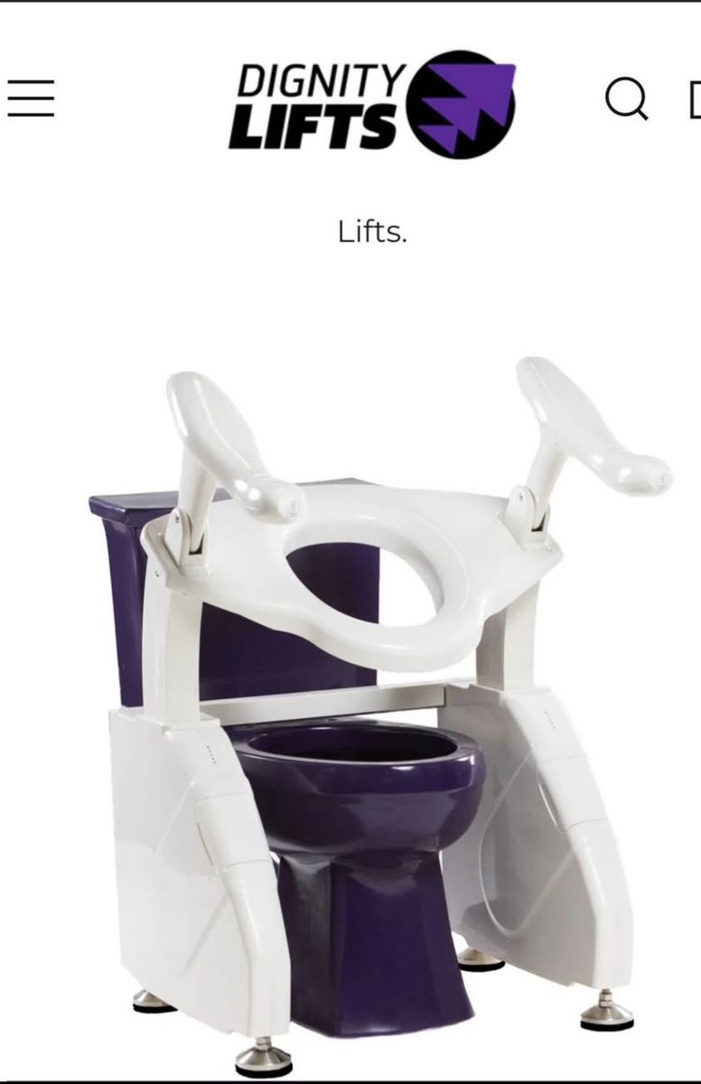 Electric toilet seat