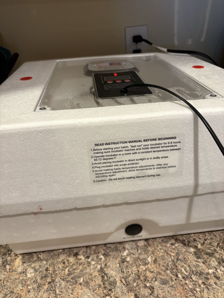 Incubator still air