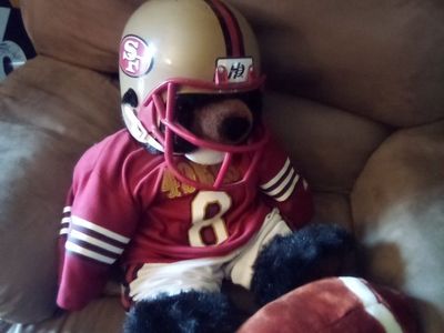 49ers bear with #8 Steve young uniform