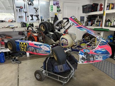 Kosmic Mercury S Race Kart - Racing Go Kart