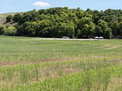 GOATS FOR RENT WANTED – Hyrum Area