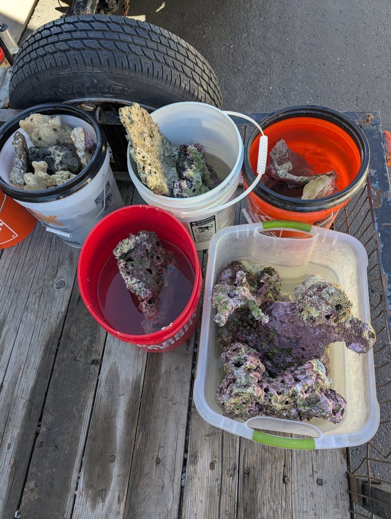 live rock/ sand/ tank.