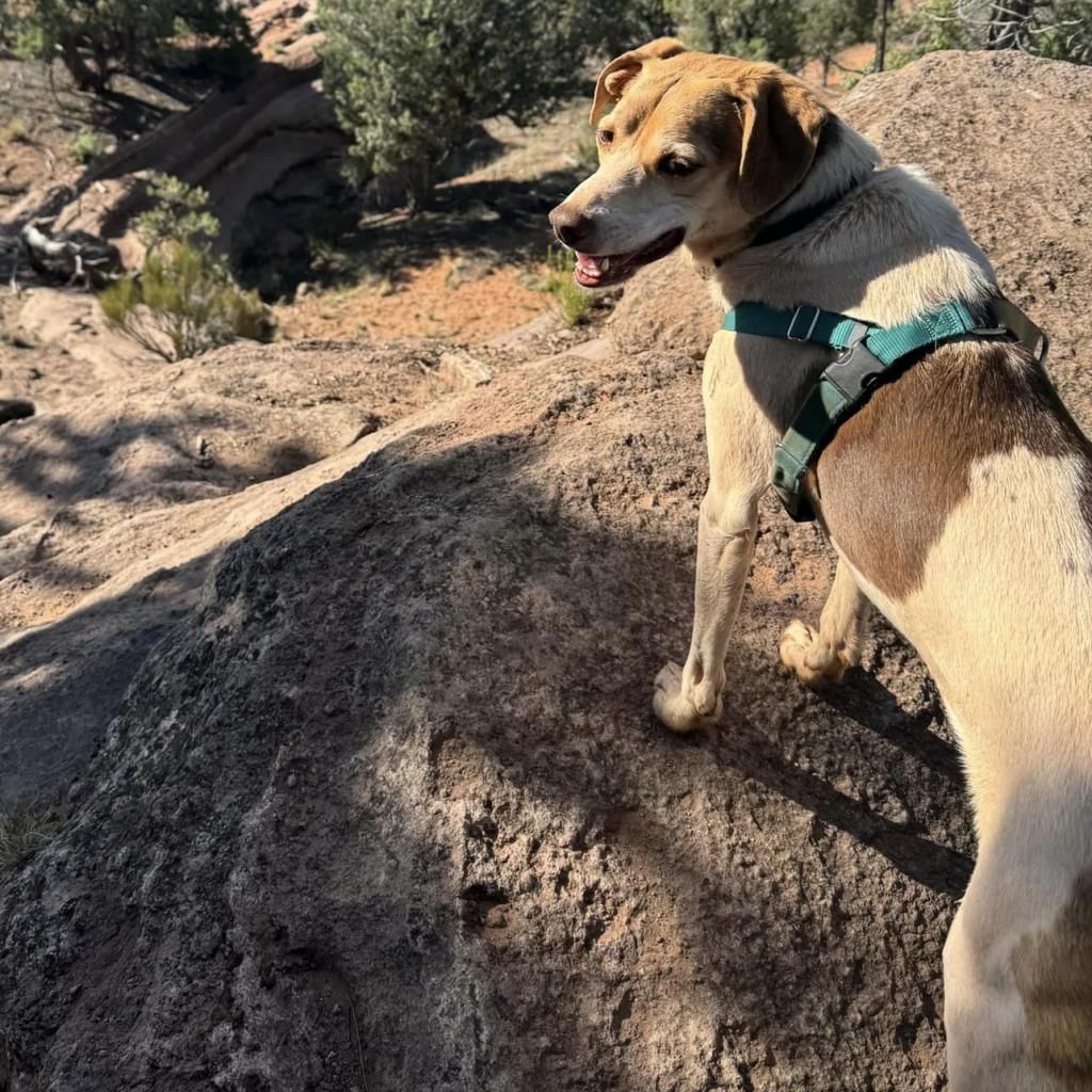 Hello my name is Dwayne