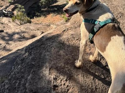 Hello my name is Dwayne