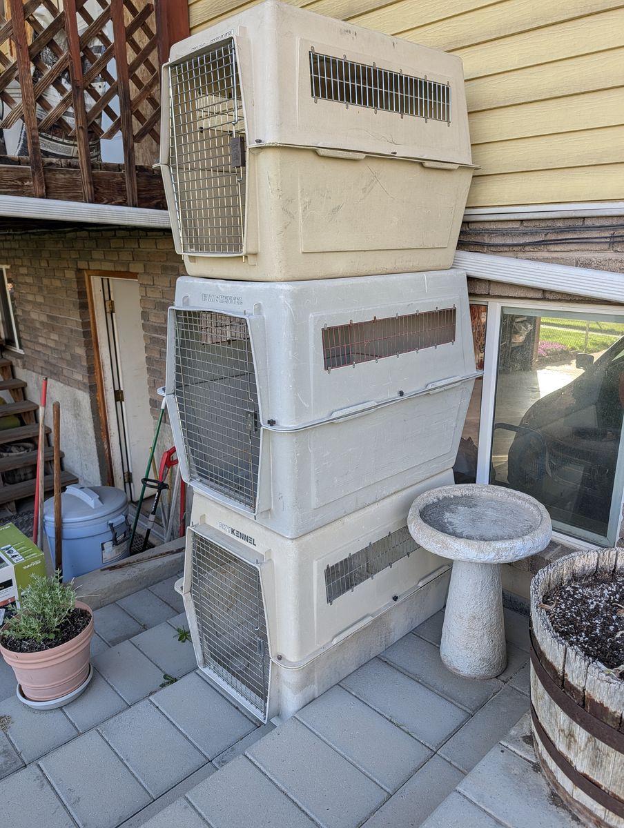 LARGE AND EXTRA LARGE DOG CRATES / KENNELS $40 -$50
