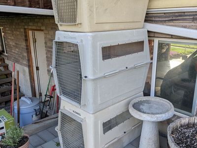 LARGE AND EXTRA LARGE DOG CRATES / KENNELS $40 -$50