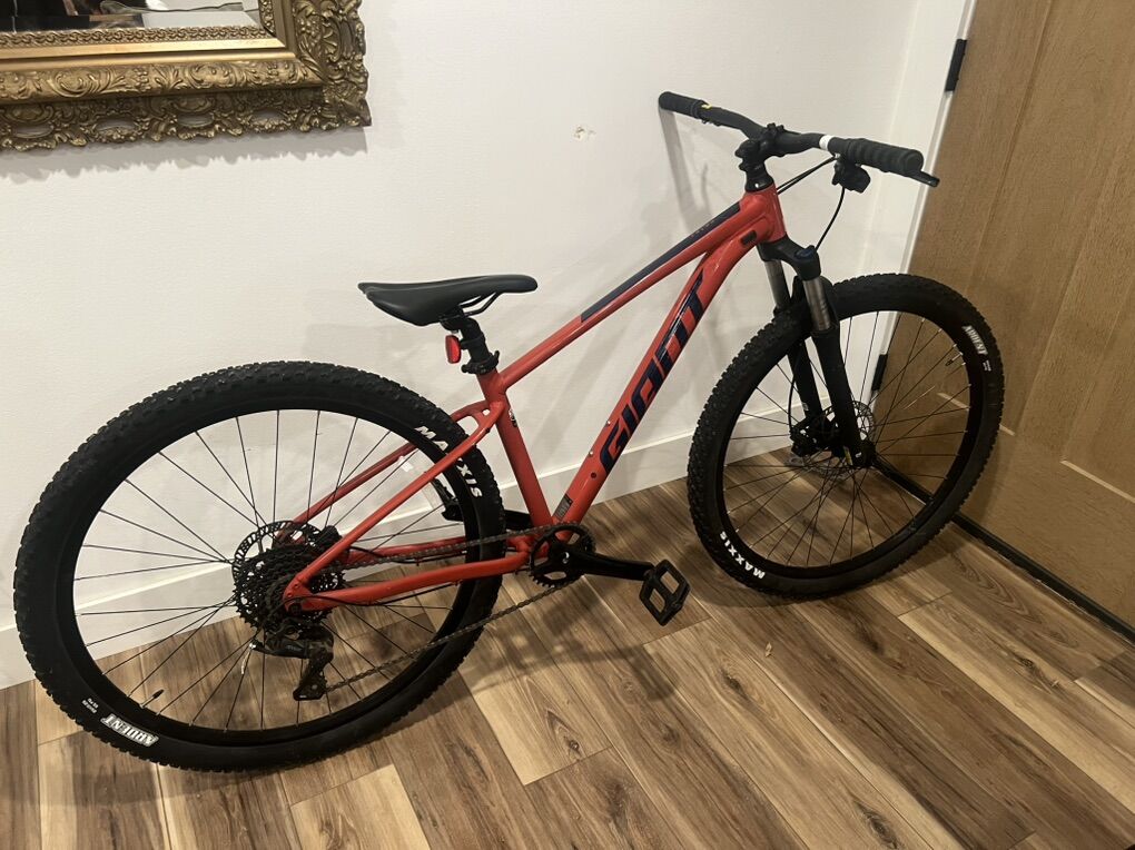 giant Mt bike