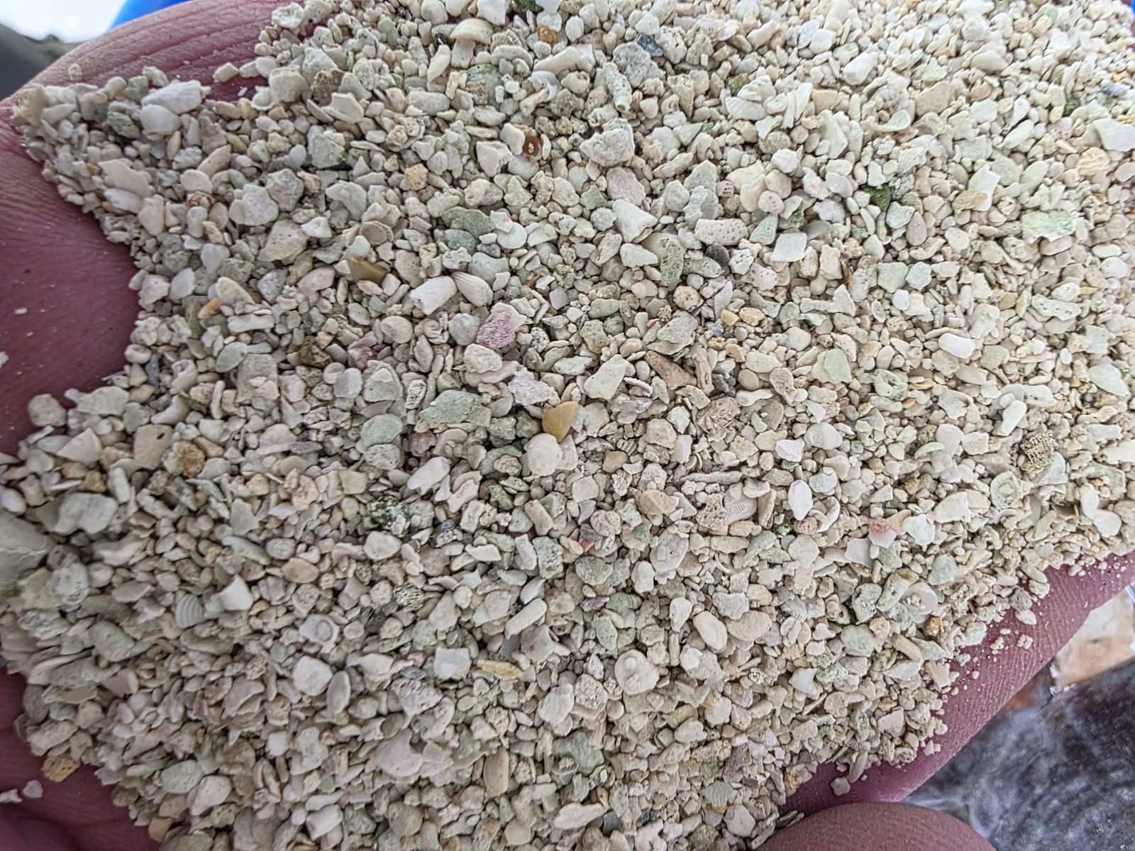 100lbs of Saltwater Reef Sand Clean and ready to go