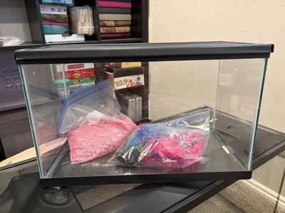 Glass Aquarium/Terrarium with Accessories - Ideal for Small Pets or Decor