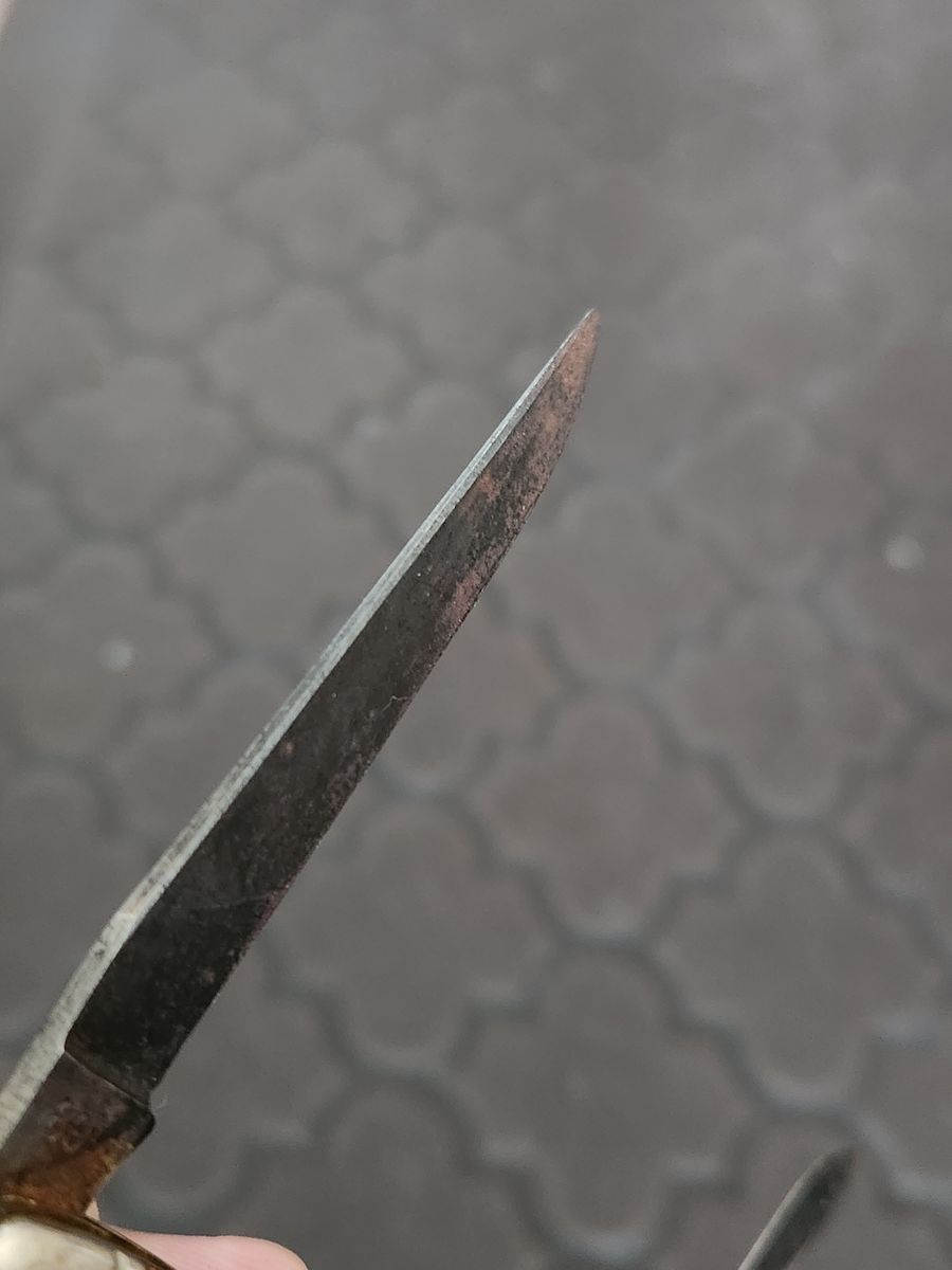 Main image 5
