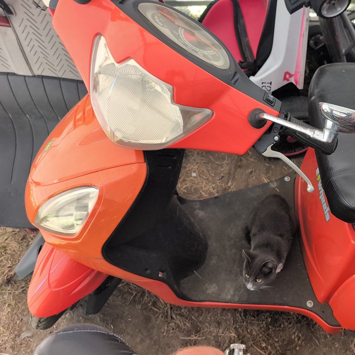 Ewheels mobility scooter