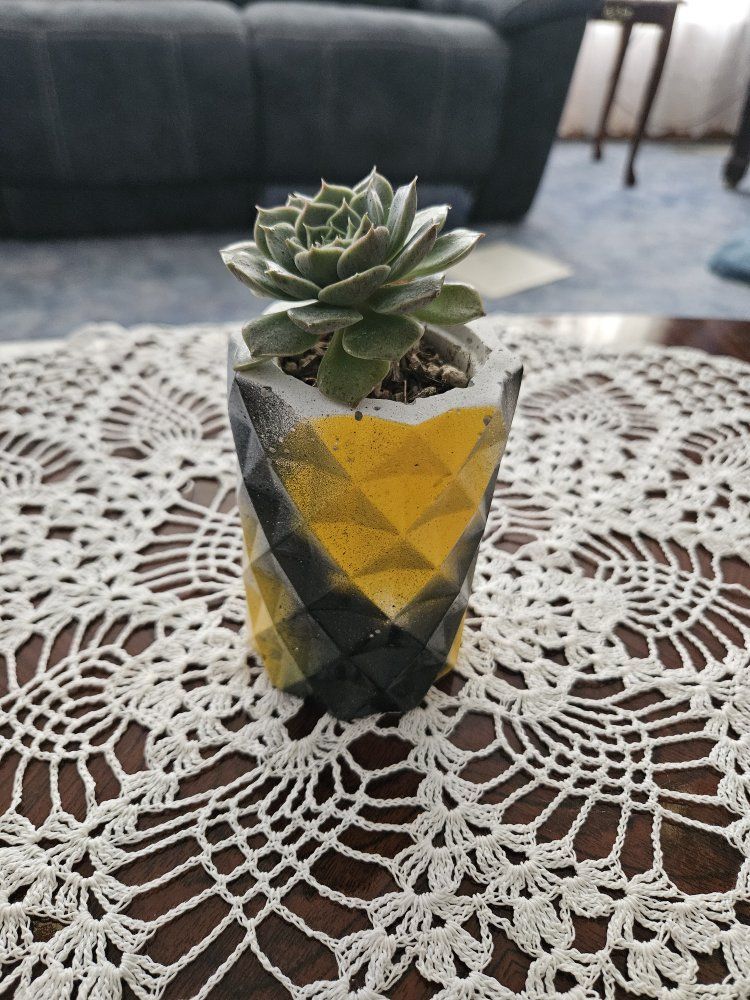 Geometric Concrete Planter with Succulent - Black & Yellow Accent