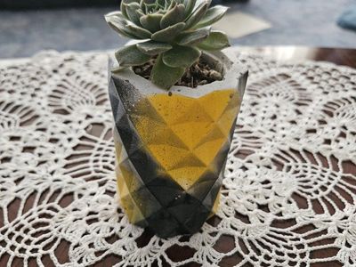 Geometric Concrete Planter with Succulent - Black & Yellow Accent