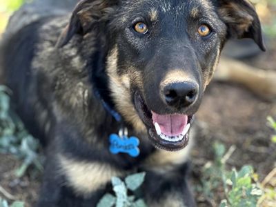 Hello my name is Pandora