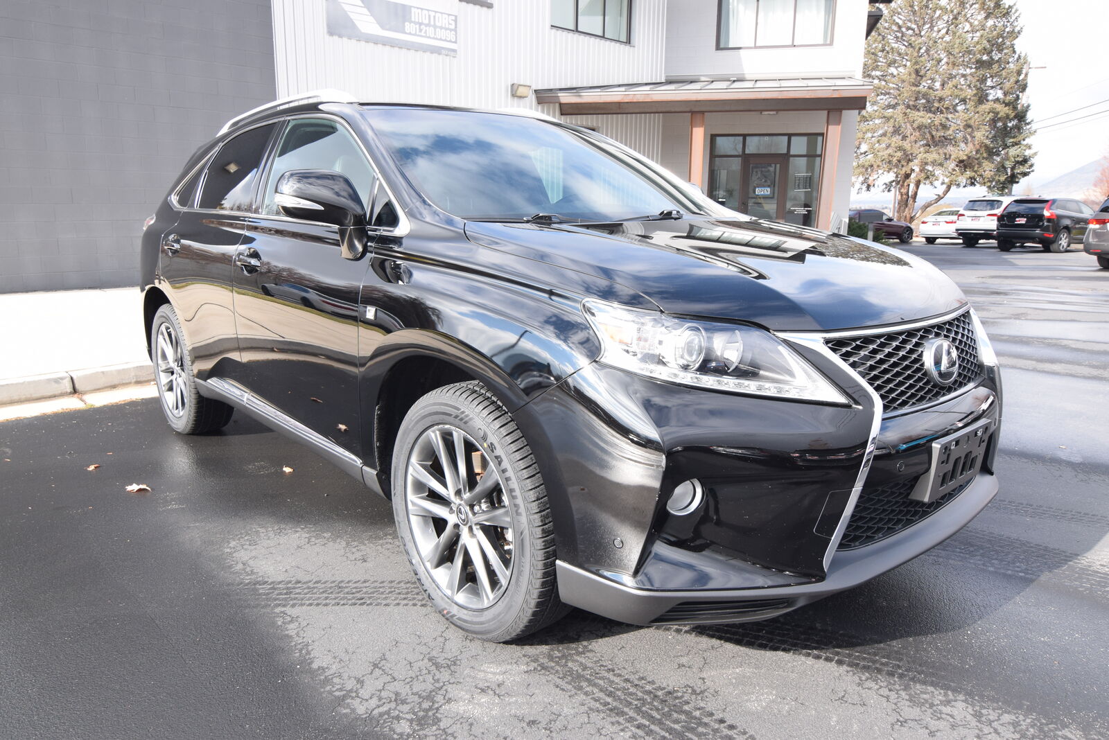 2013 LEXUS RX F Sport