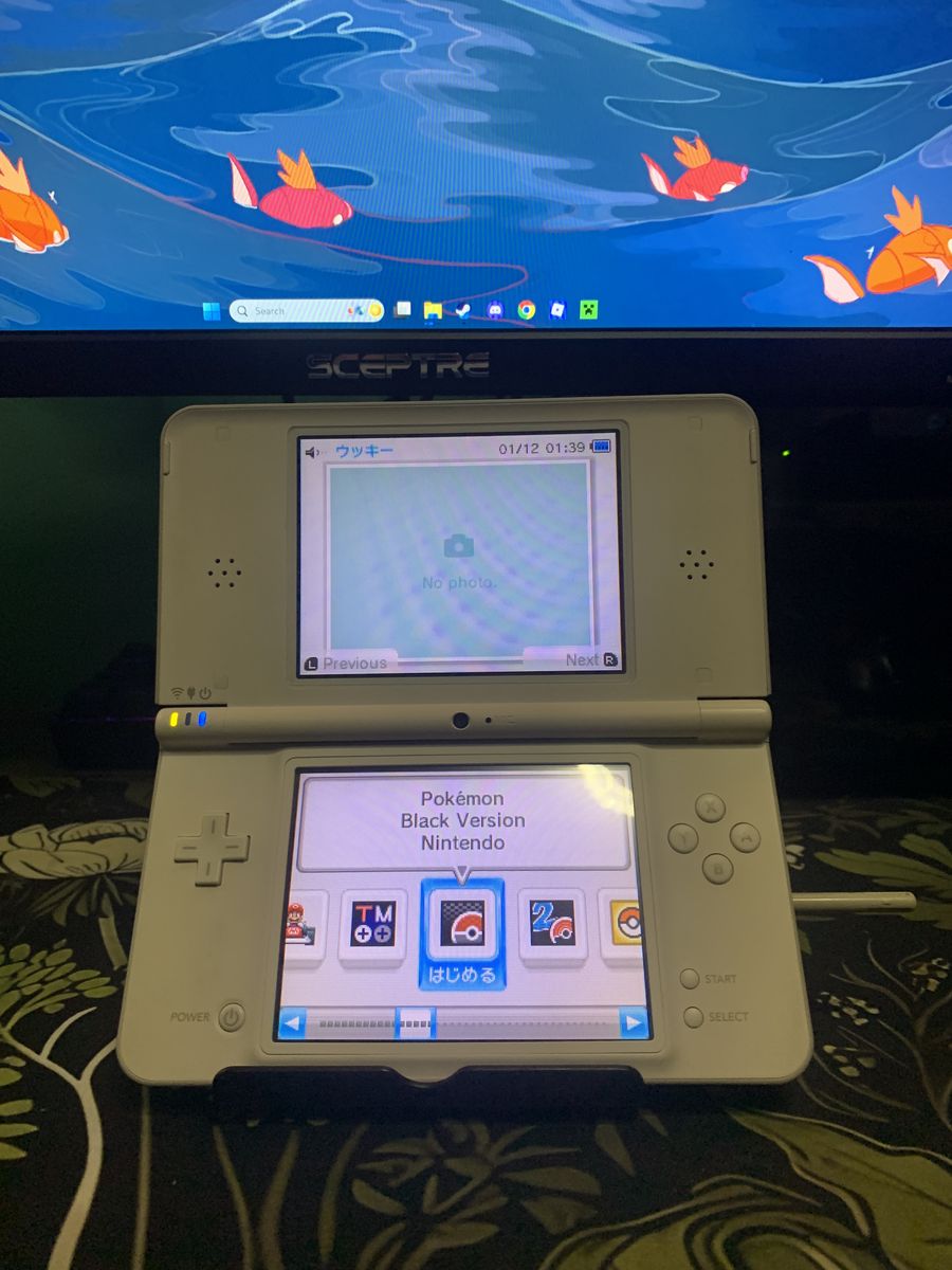 Modded Dsi XL White