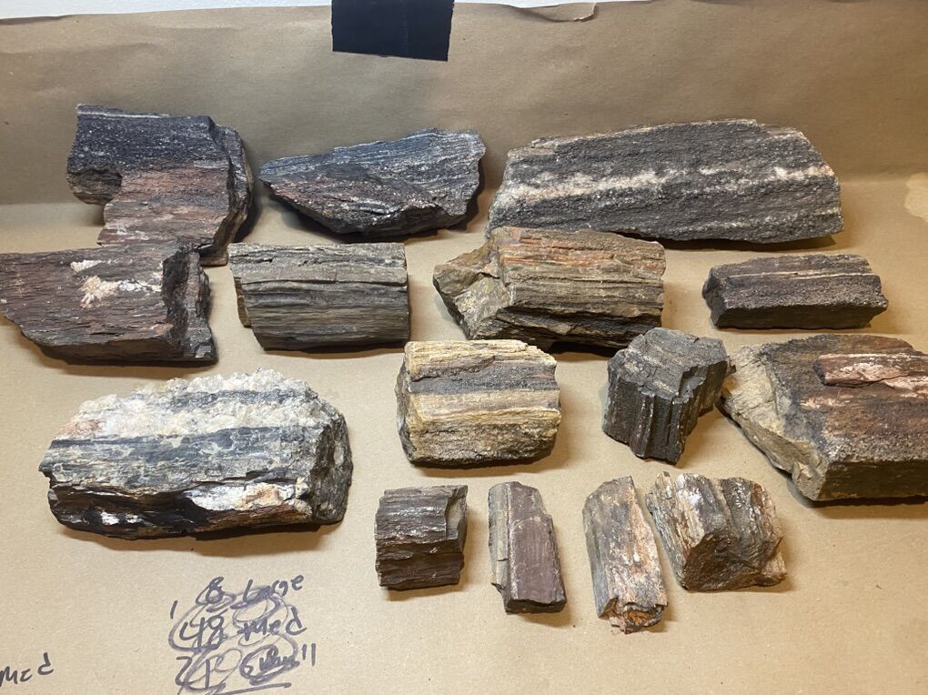 22lbs. Smaller Petrified Wood Pieces