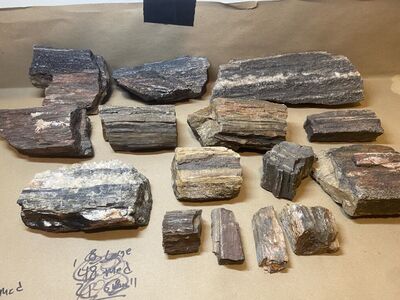 22lbs. Smaller Petrified Wood Pieces