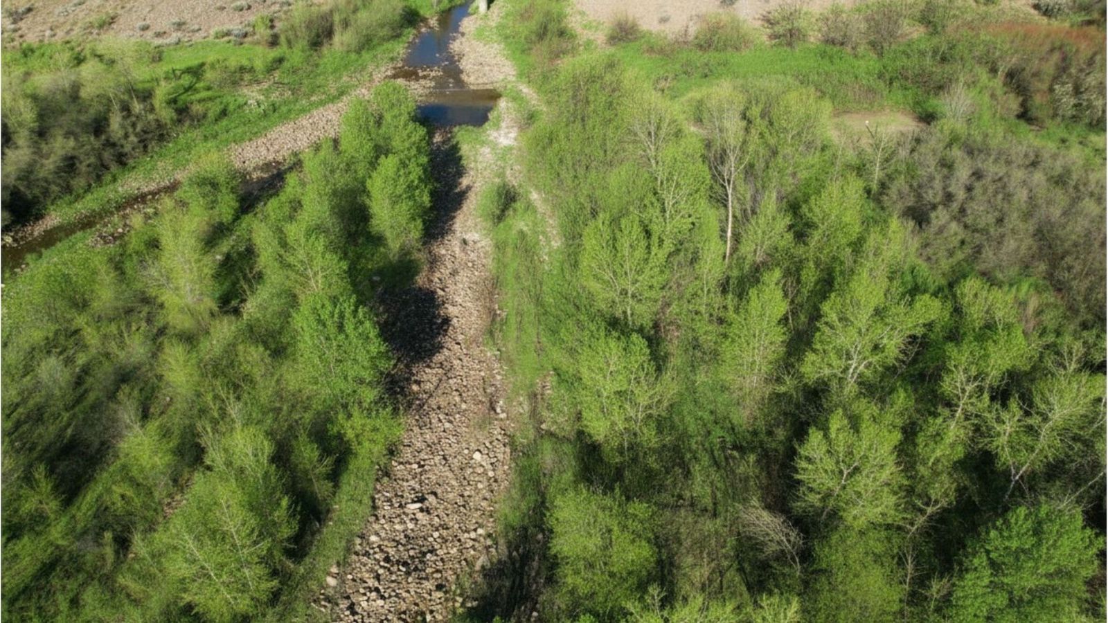 Land for sale 30.40 acre homestead property