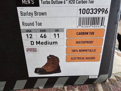 Ariat work boots